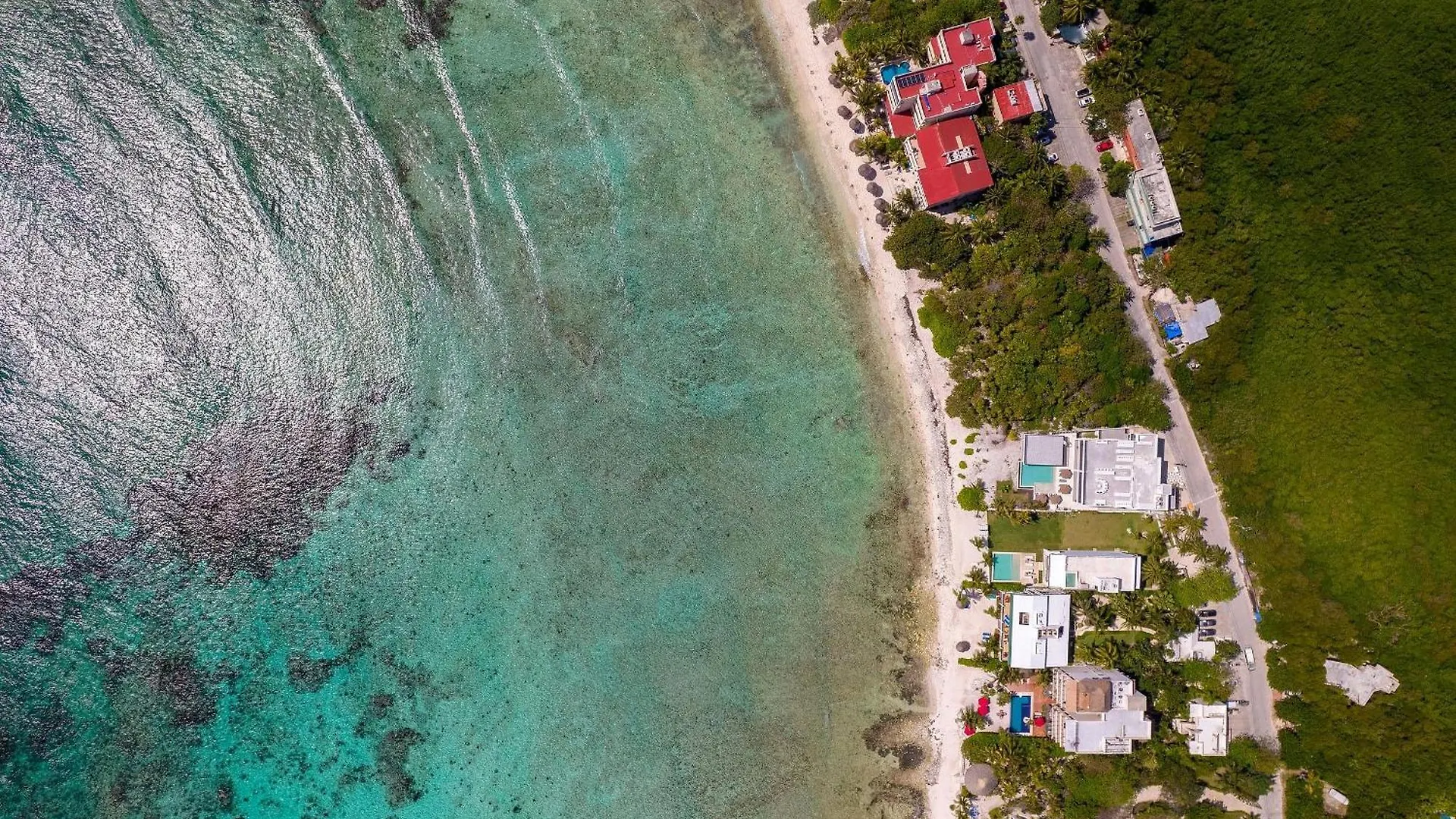 Θέρετρο 8Bdr Beach Private Chef -Wedding & Retreats /Golf Akumal Casa Milah Μεξικό